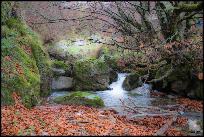 La Posada De Cucayo Dobres エクステリア 写真